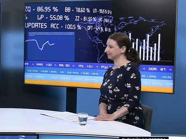 SLOVNIK-INVESTORA-18.6