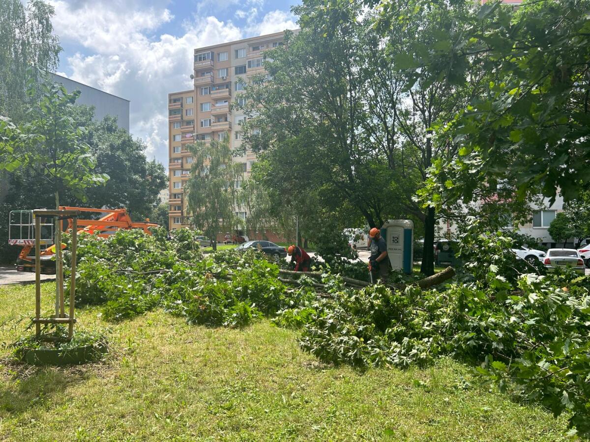 WhatsApp Image 2024-06-27 at 13.16.41 (6).jpeg