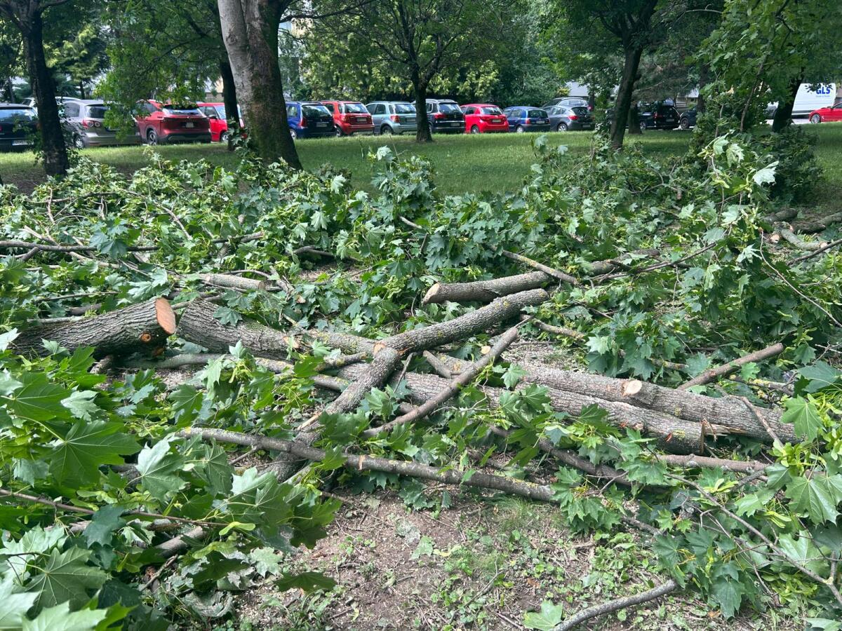 WhatsApp Image 2024-06-27 at 13.16.41 (5).jpeg