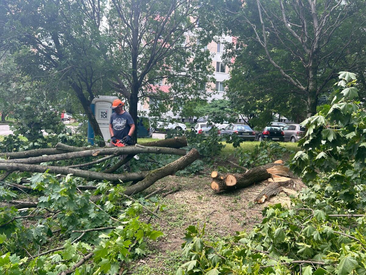 WhatsApp Image 2024-06-27 at 13.16.41 (4).jpeg