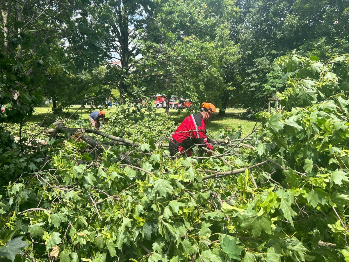 WhatsApp Image 2024-06-27 at 13.16.41 (3).jpeg