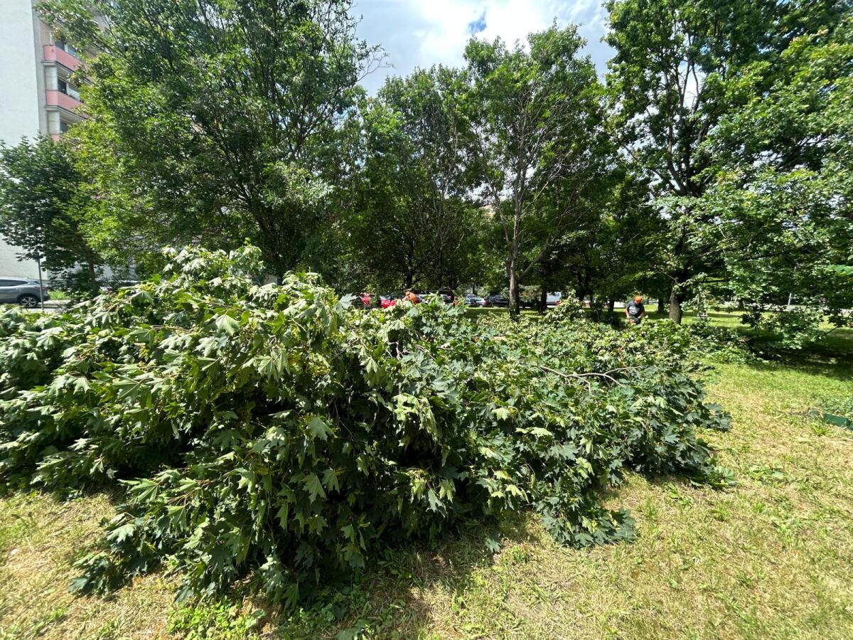 WhatsApp Image 2024-06-27 at 13.16.41 (2).jpeg