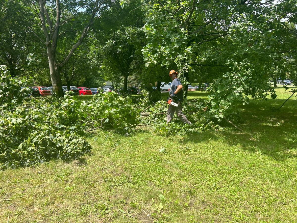 WhatsApp Image 2024-06-27 at 13.16.41 (1).jpeg