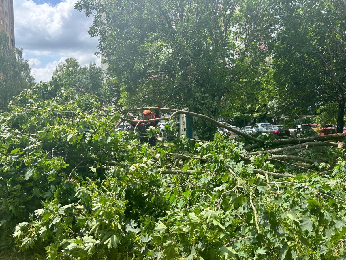 WhatsApp Image 2024-06-27 at 13.16.41.jpeg