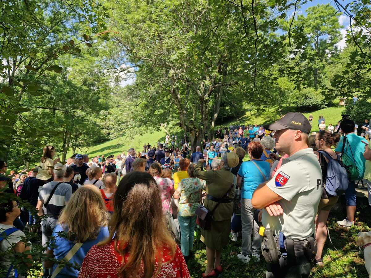 Obrázok WhatsApp 2024-06-29 o 15.08.20_69661602.jpg