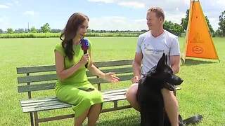 Ľudia neradi nechávajú svojich miláčikov doma pri svojich cestách. Čo obnáša cestovanie so zvieratami? 