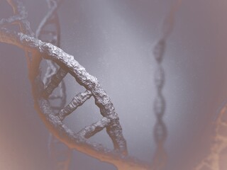 DNA
