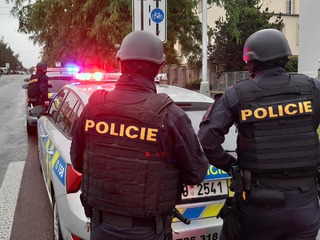 policie česká policia