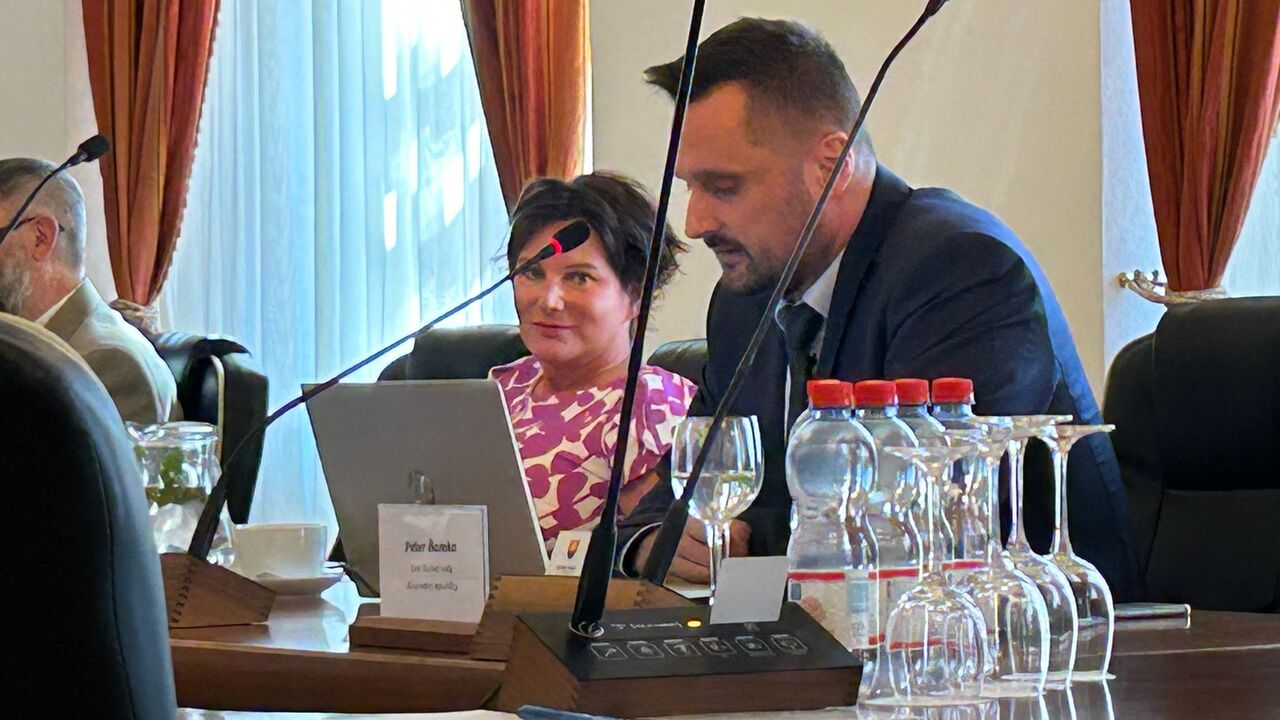 Ayše Pružinec Eren