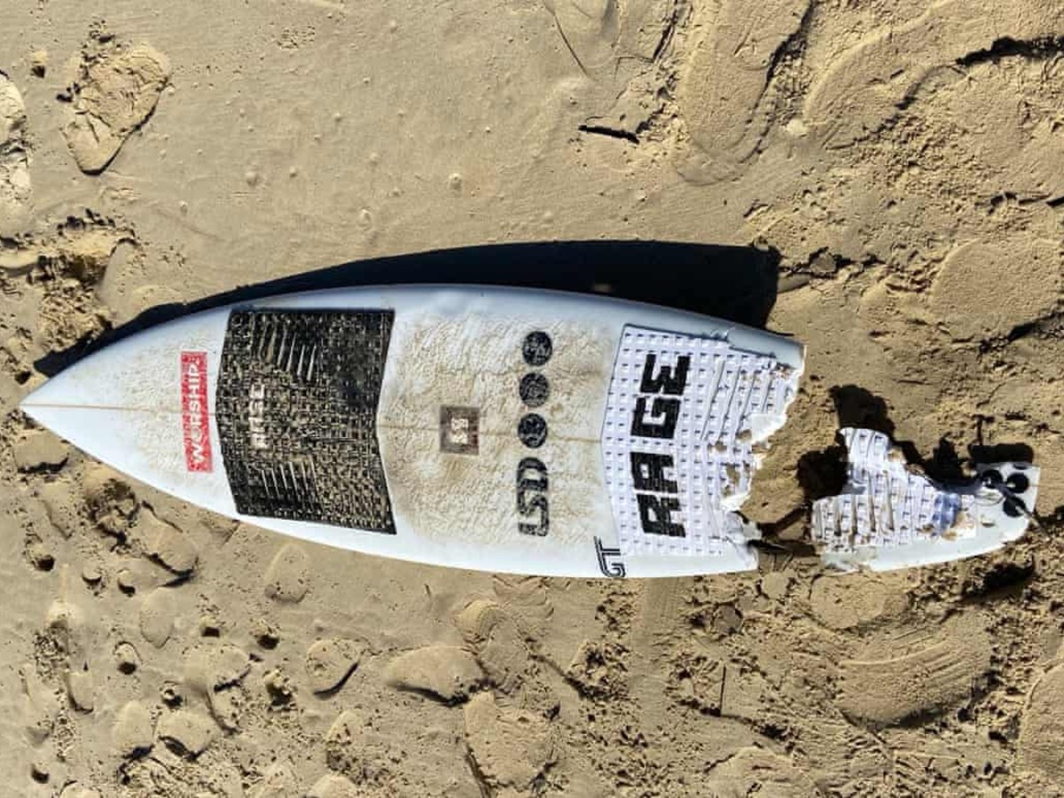surferska doska utok zraloka
