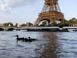 Seina Paríž