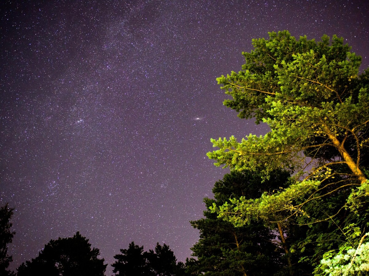Perzeidy, meteorid