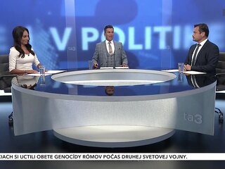 v politike
