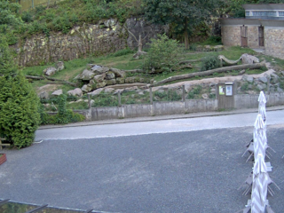Zoo Decin