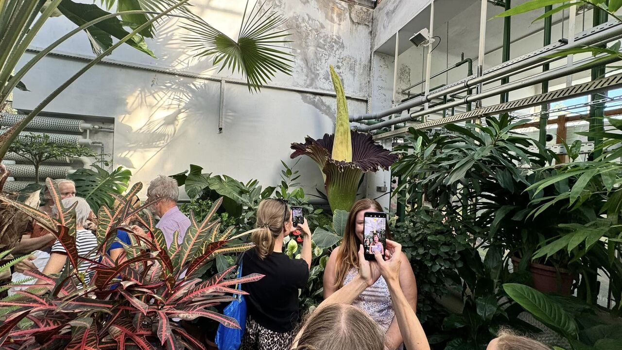 kvetina Botanická záhrada 