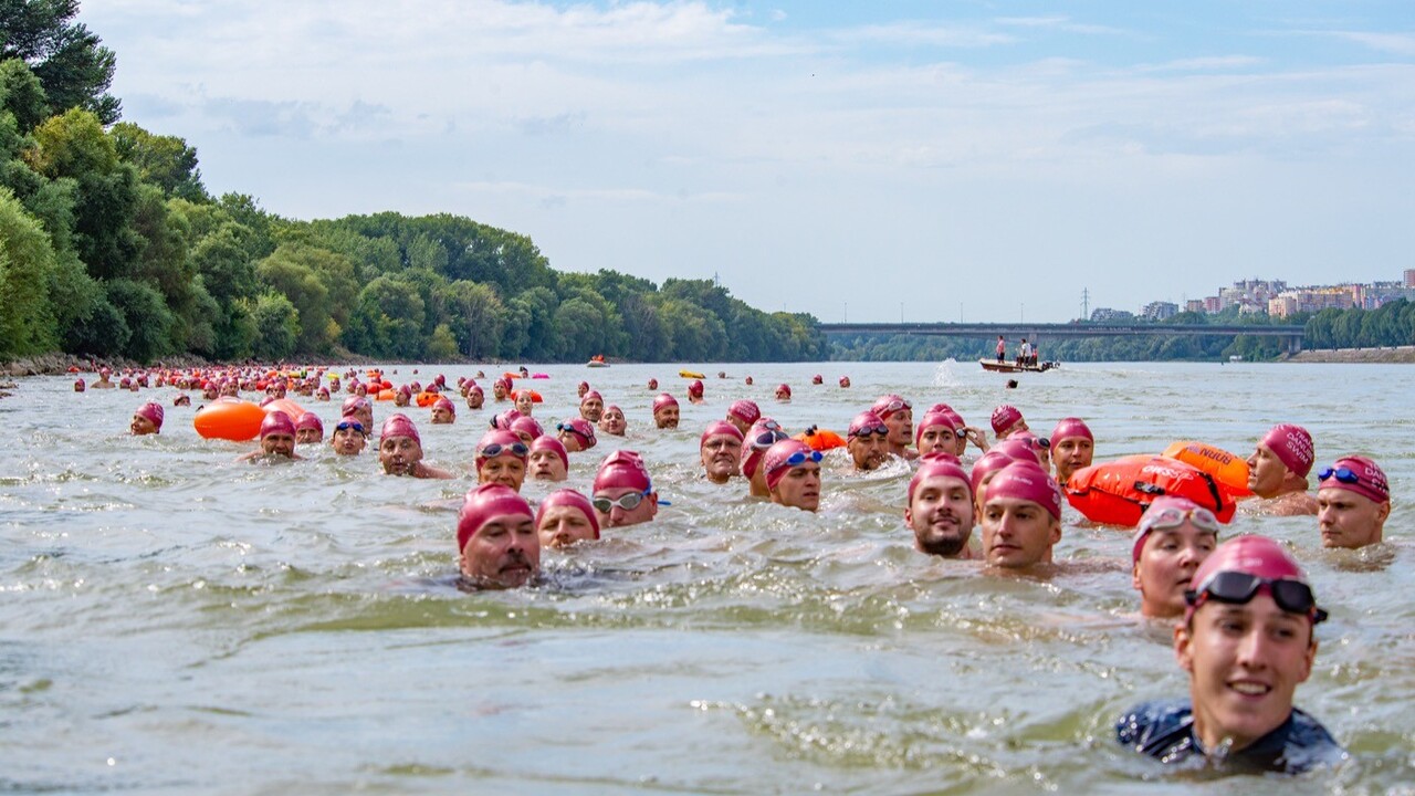 thumbnail_TDS 2 (1).jpg