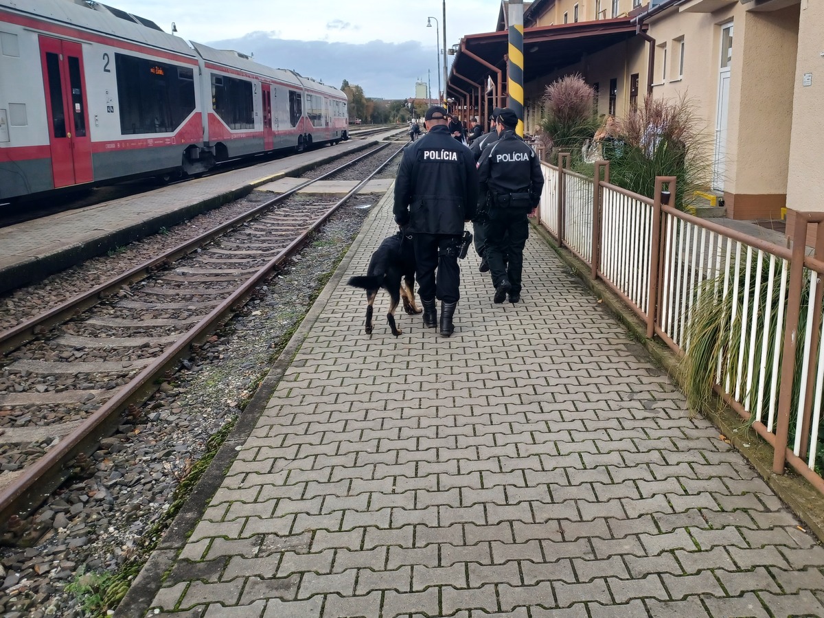polícia vlak pes železnice stanica 