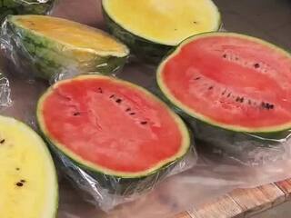 melón