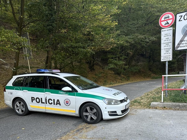 V Bratislave horí les. S ohňom bojuje 60 hasičov, pomáha aj polícia a varuje verejnosť