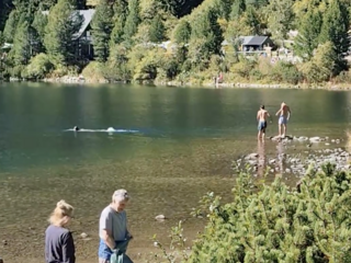 Popradské pleso kúpanie
