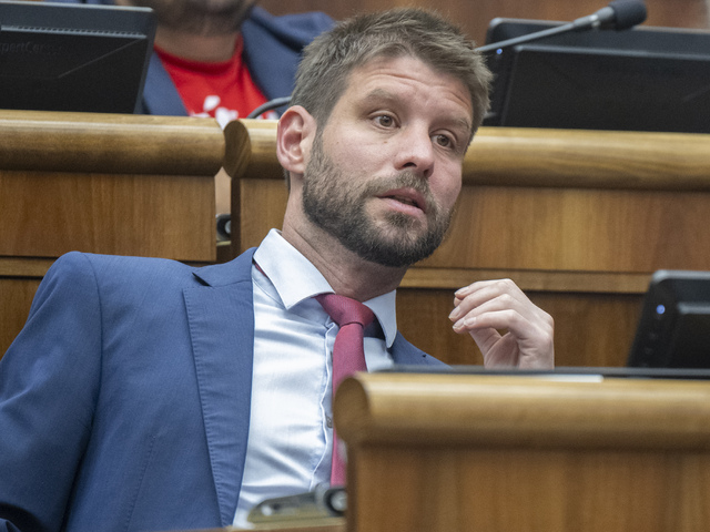 Príkaz lustrovať Šimečkovu rodinu dal šéf Finančnej správy, tvrdia Demokrati a podávajú trestné oznámenie. Úrad hovorí o manipulácii