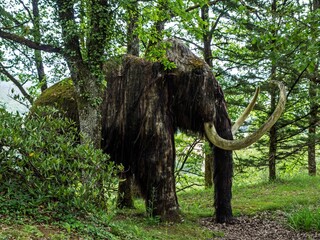 Mamut