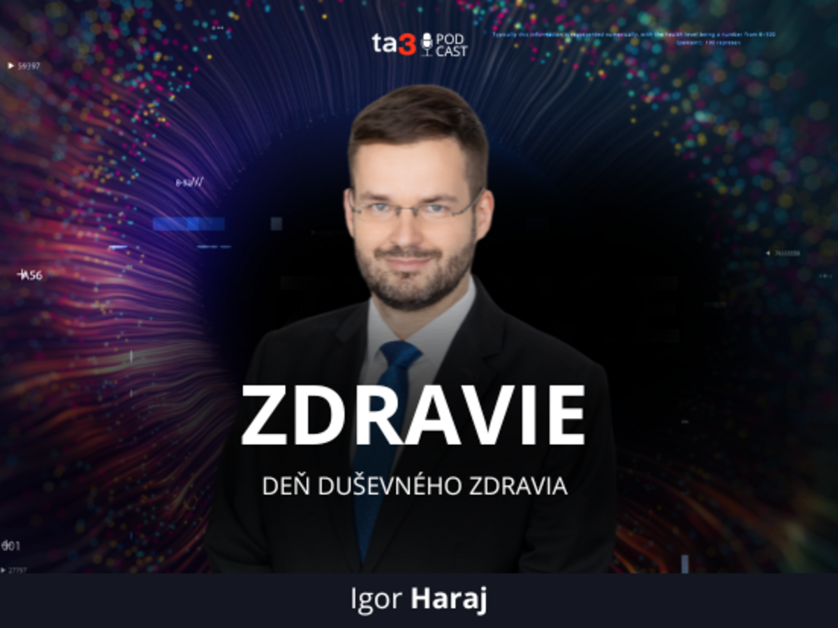 Podcast V politike (10).png