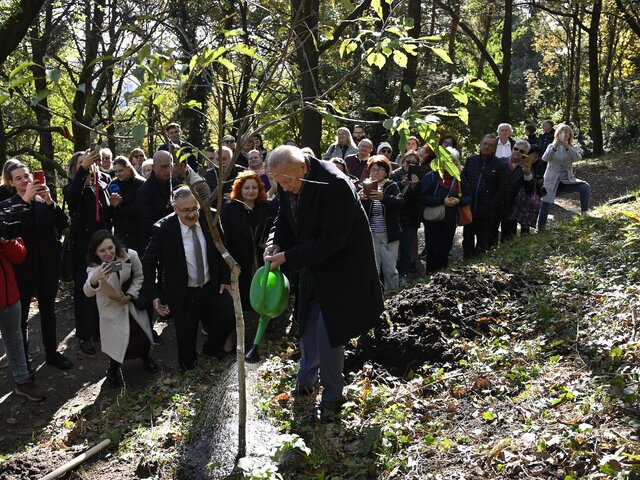 Schuster zasadil strom v Aleji osobností
