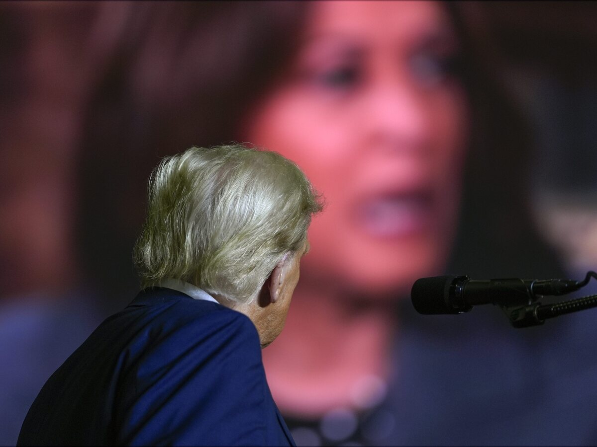 voľby USA Trump Harrisová