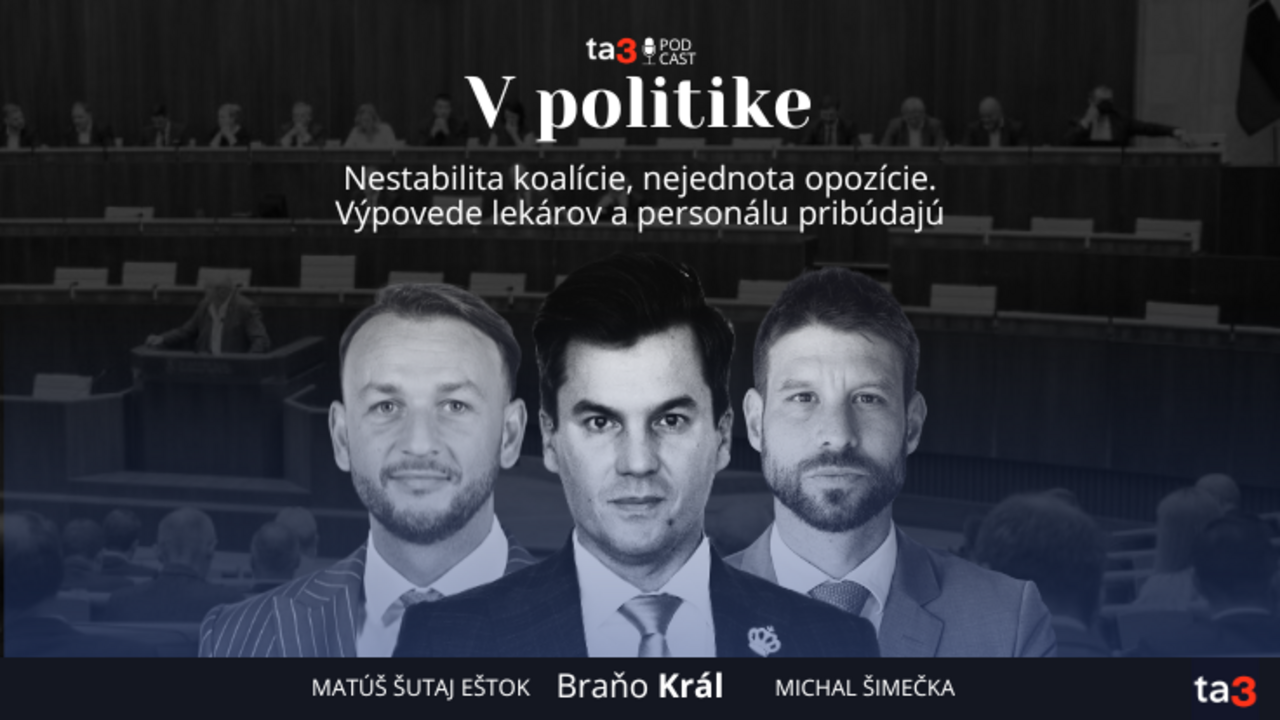 Podcast V politike (15).png