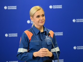 Saková