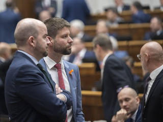 NRSR parlament Šimečka Dubéci 