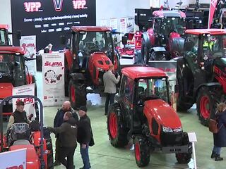 agrosalon