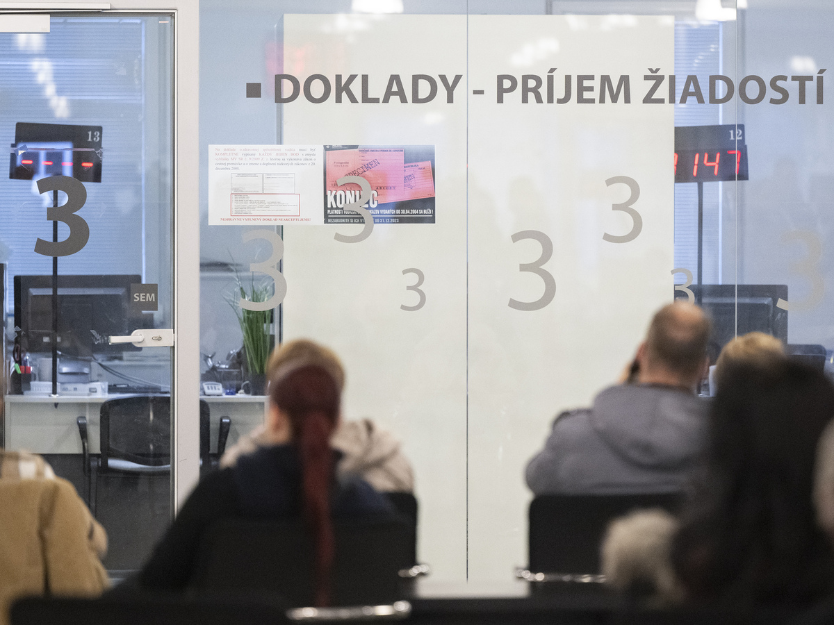 doklady