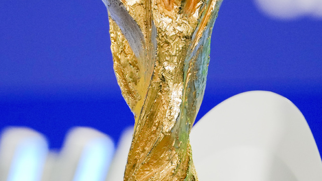 Switzerland_FIFA_World_Cup_Draw960962094715.jpg