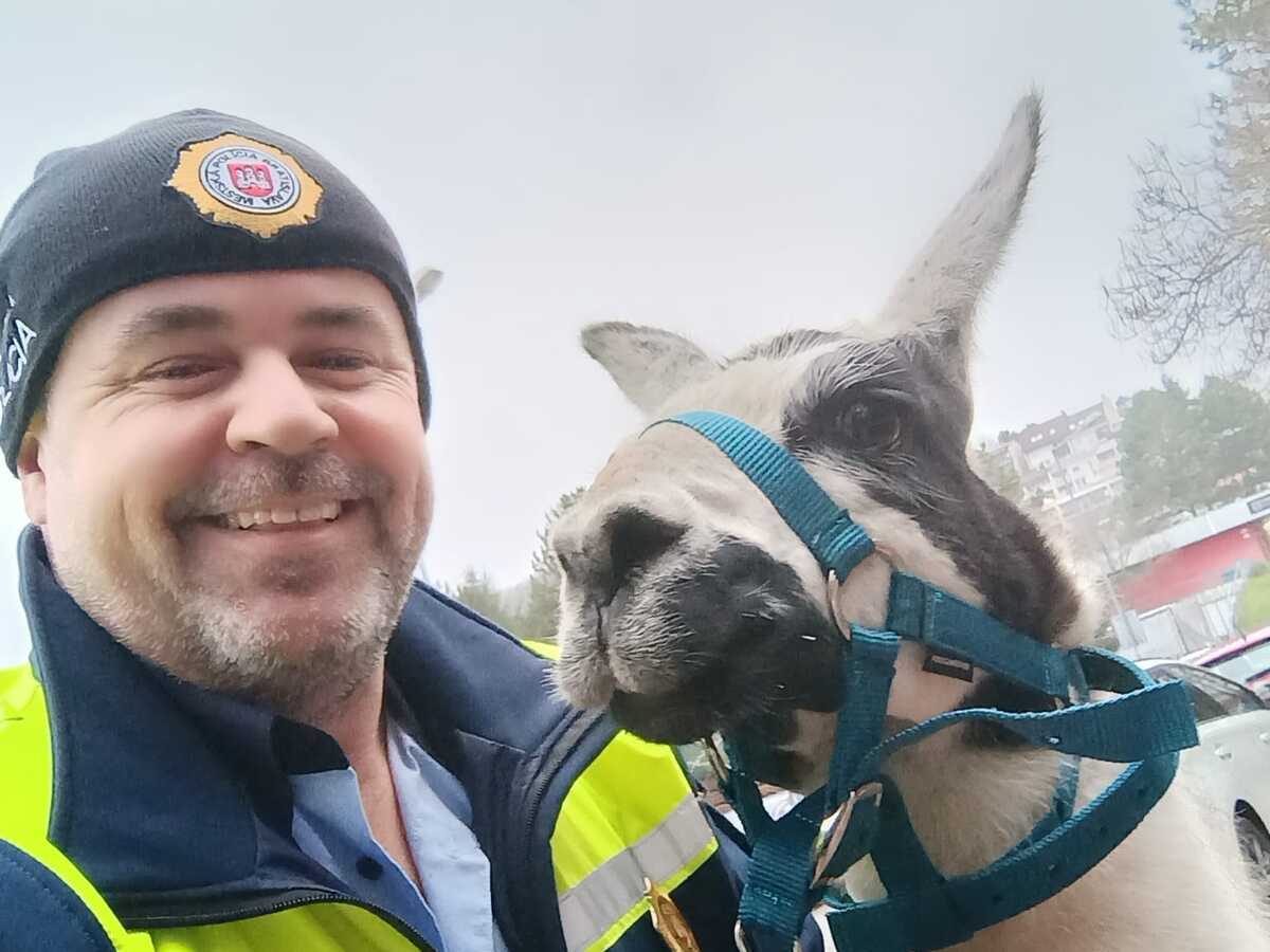 polícia, lama