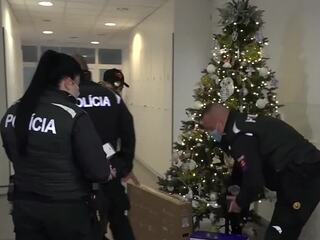 ježiško v uniforme