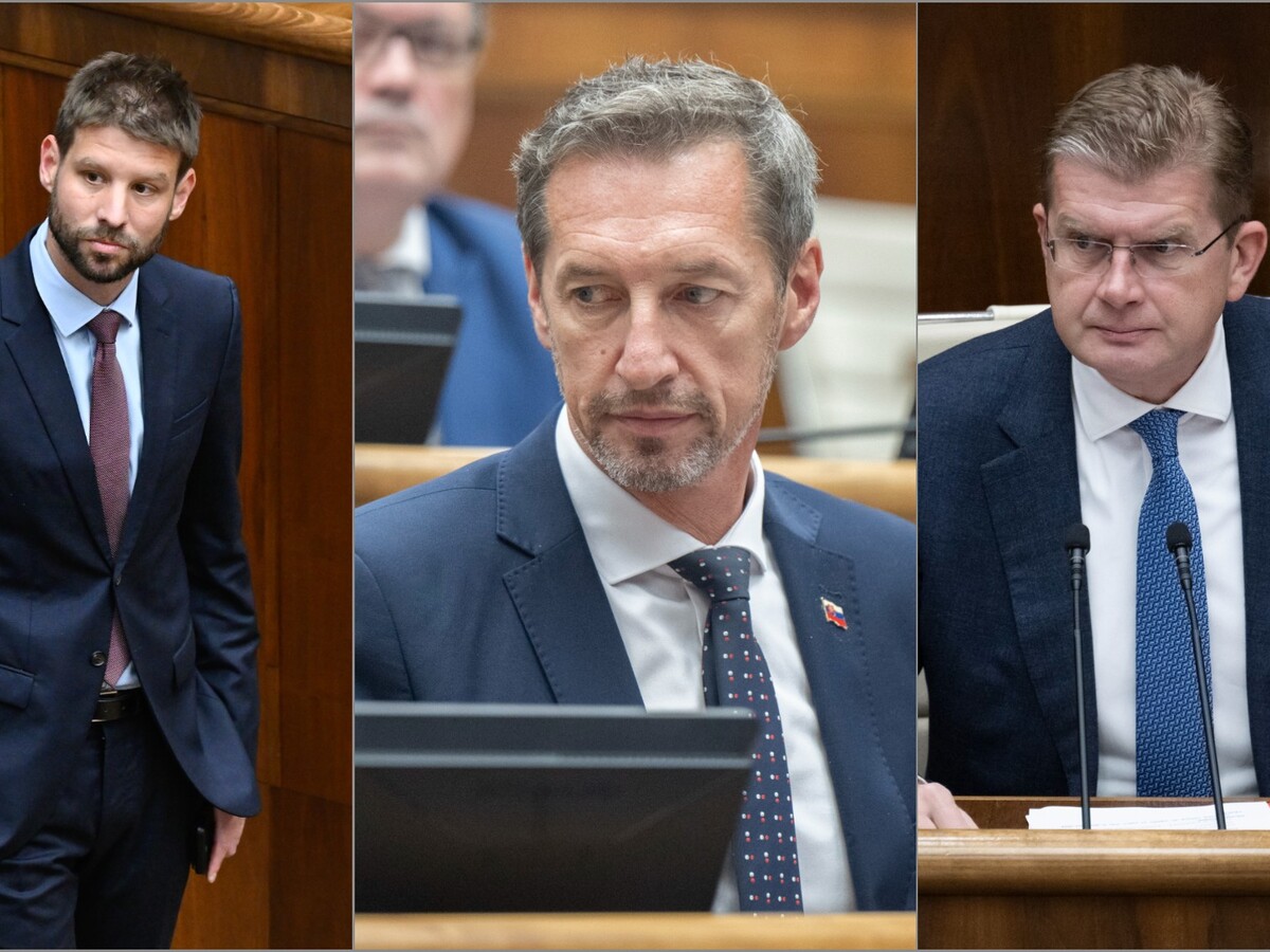 koláž Šimečka Majerský Žiga
