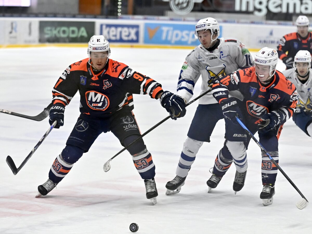 hokej_tl_michalovce_snv_008100222.jpg