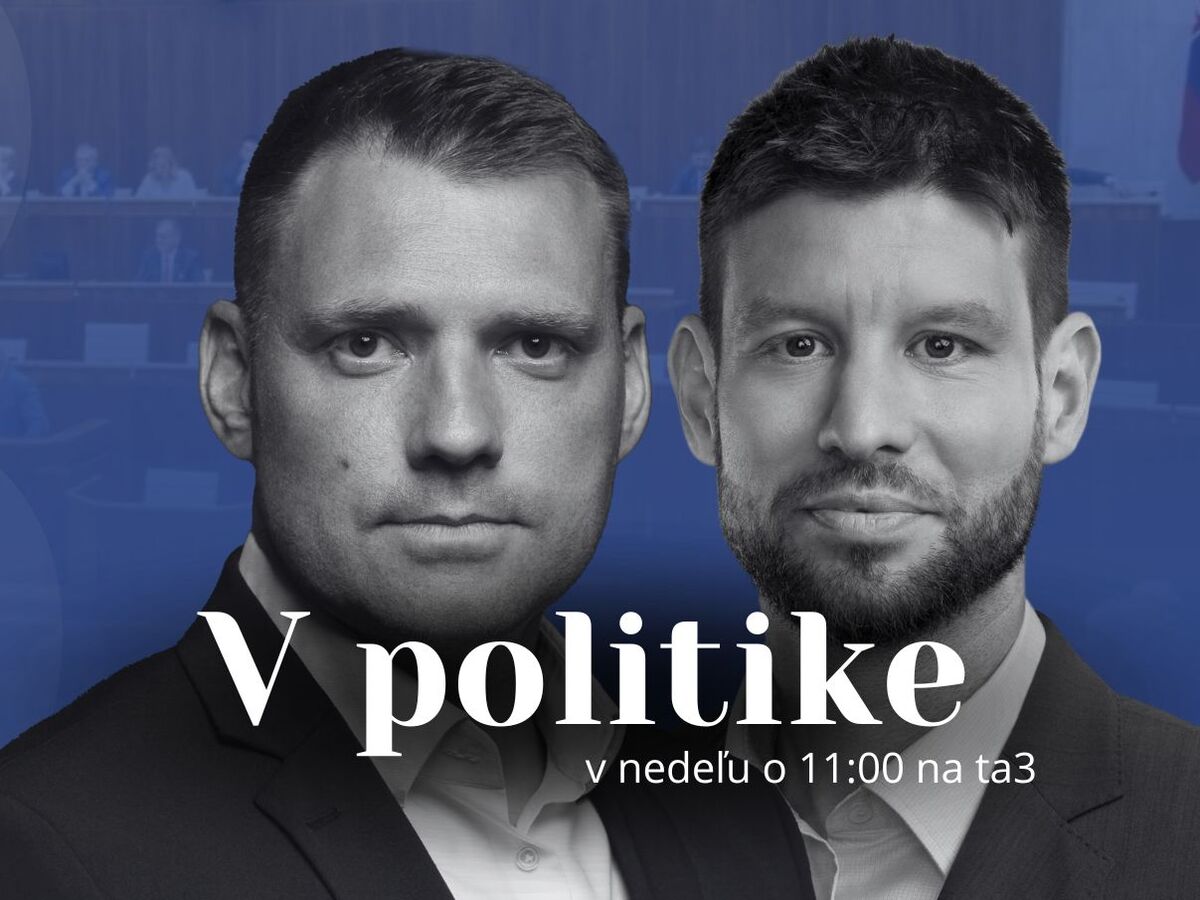 V politike