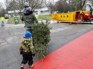 mulcovačka 