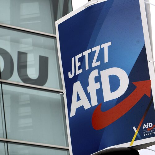 AfD, Nemecko