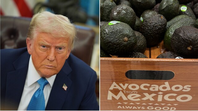 trump avokádo tarify mexiko usa