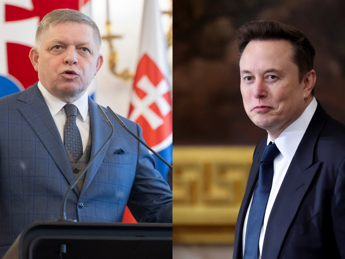 fico musk.jpg