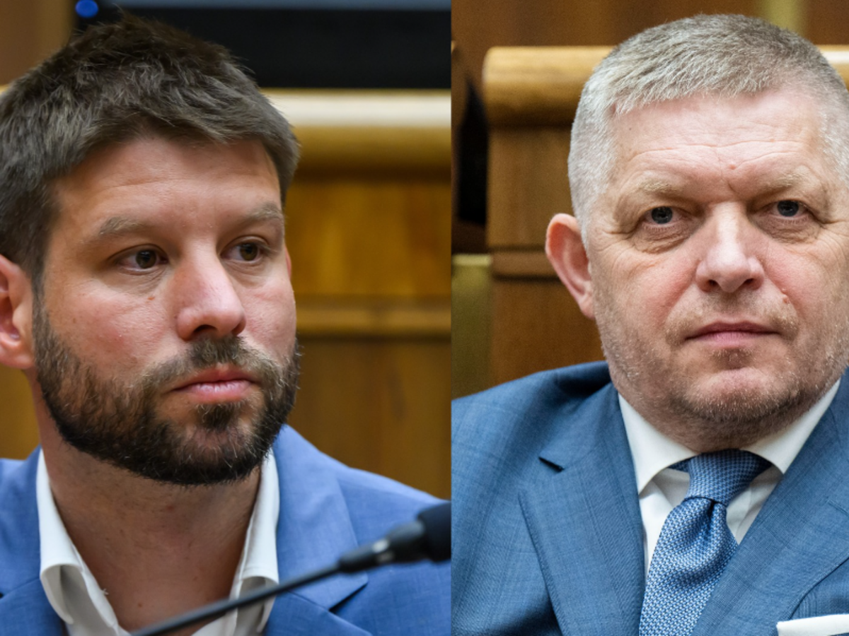 Michal Šimečka, Robert Fico