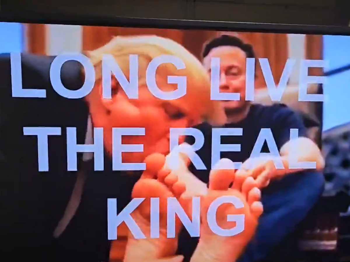 musk trump video.png