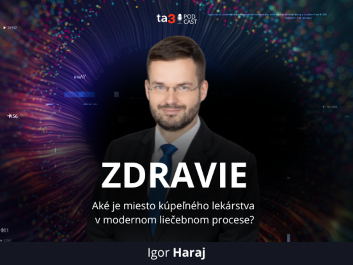 Podcast V politike (12).png