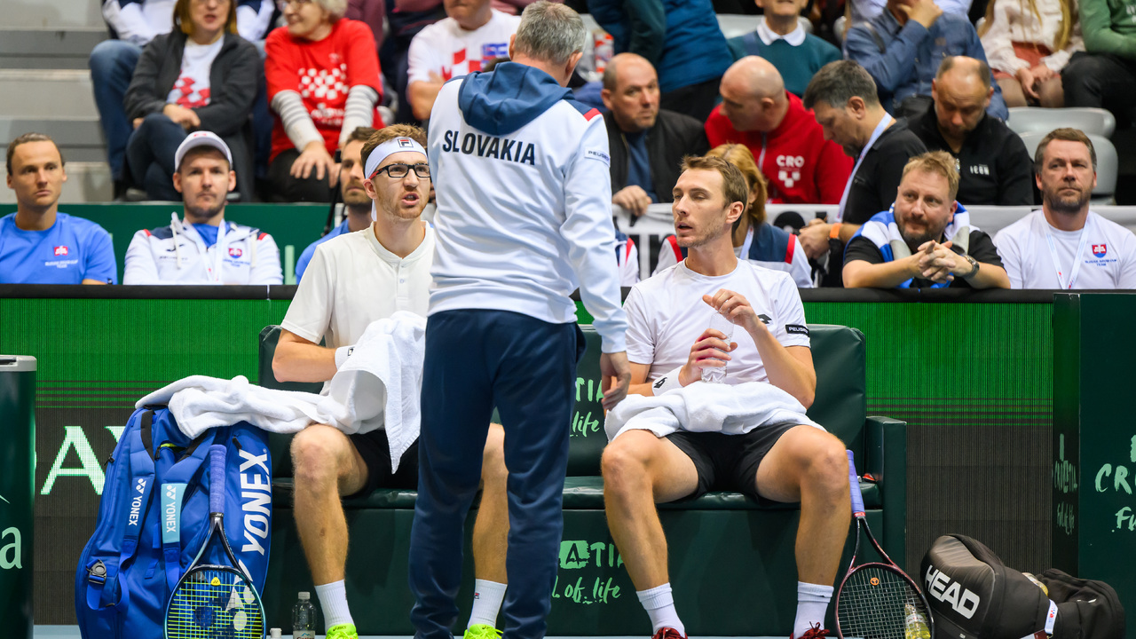 Slovensko Davis Cup