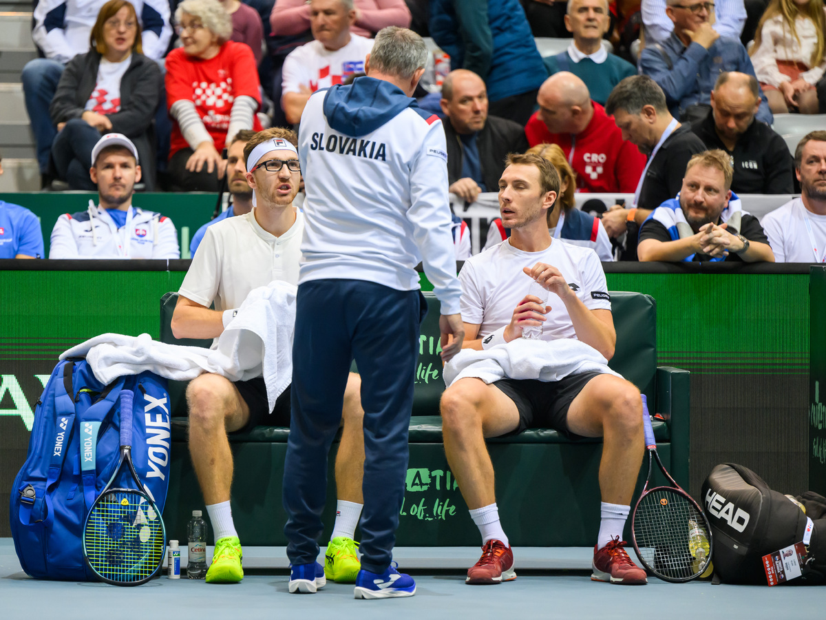 Slovensko Davis Cup