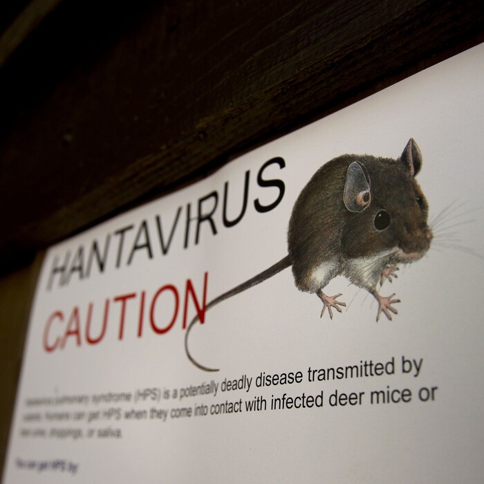hantavírus